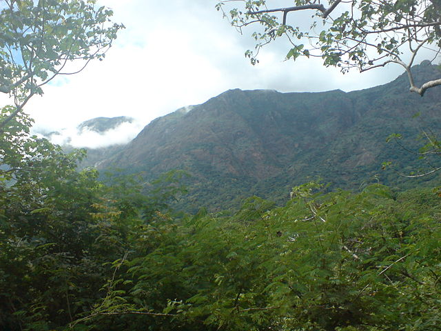 Srivilliputhur Grizzled Squirrel Wildlife Sanctuary